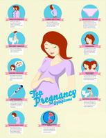 Pregnancy Symptoms poster