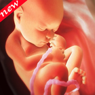 Pregnancy Week by Week 2019 Zeichen