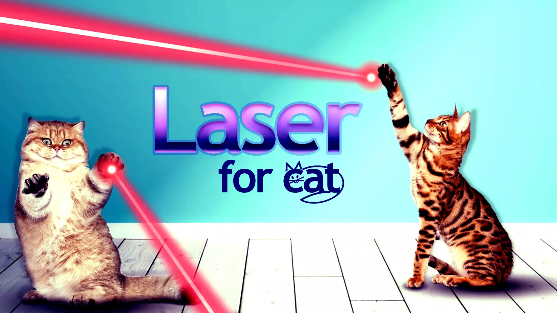 Кэтс плей. Кот играет. Кот играет с лазером. Лазерные игры для кошек. Лазер для игры с кошкой.