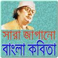 সাড়া জাগানো বাংলা কবিতা সমূহ