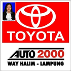 Sales Mobil Toyota Lampung 2018 ไอคอน