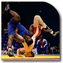 Professional Wrestling Moves APK