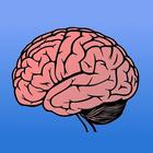 Memory Trainer Brain Challenge icône