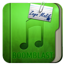 Zayn Malik Pillow Talk Lyrics APK