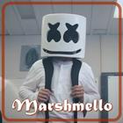 Marshmello Alone Song Lyrics icône