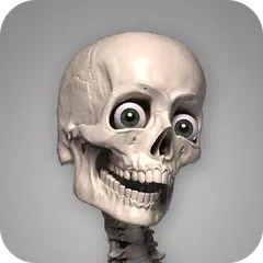 download Skelly: Poseable Anatomy Model APK