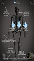 Skelly: Poseable Anatomy Model تصوير الشاشة 1