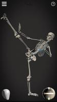 Skelly: Poseable Anatomy Model تصوير الشاشة 2