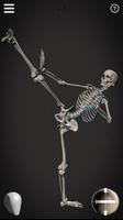 Skelly: Poseable Anatomy Model اسکرین شاٹ 2