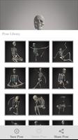 Skelly: Poseable Anatomy Model تصوير الشاشة 3