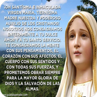 Mi Divina Virgen María ไอคอน