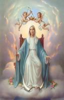 Mi Divina Virgen María ภาพหน้าจอ 3