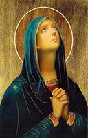 Mi Divina Virgen María 스크린샷 2