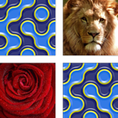 DIY Memory Card Game APK