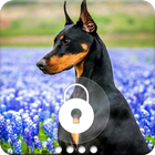 Doberman Lock Screen icon