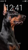 Doberman Lock Screen Affiche