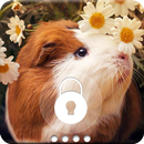 Guinea Pig HD security Pin Lock Screen aplikacja