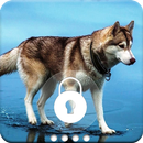 Husky Dog HQ Wallpaper Animal PIN Lock Screen APK