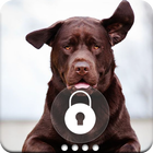 Labrador Retriever Dog Wallpaper App Lock Screen icône