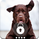 Labrador Retriever Dog Wallpaper App Lock Screen icon