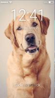 Labrador Retriever Dog Wallpaper App Lock Screen plakat