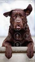 Labrador Retriever Dog Wallpaper App Lock Screen capture d'écran 1