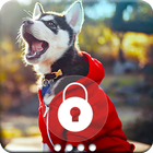 Puppy Syberian Husky Lock Screen icon