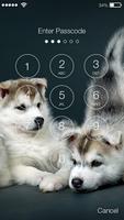 Puppy Syberian Husky Lock Screen screenshot 1