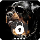 Rottweiler Dog Animal HD Lock Screen ikona