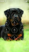 Rottweiler Dog Animal HD Lock Screen Screenshot 1