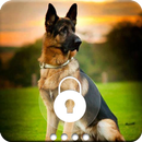 Shepherd Dog  Smart App Lock APK