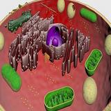 Biologia Aumentada icône