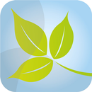Groote Vliet APK