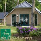 De Goudsberg アイコン