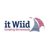 It Wiid иконка