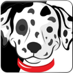 Dogs training - General Knowledge Quiz