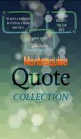 Charles de Montesquieu Quote Poster
