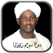 Al Quran Alzain Mohamed Ahmed