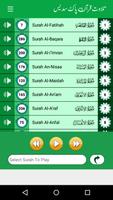 Sudais Quran Mp3 Offline Full تصوير الشاشة 1