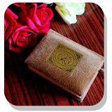 Daily Quran Quotes simgesi