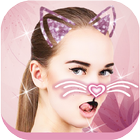 😻Cat Face Filters and Stickers icône