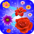 Flower Blast icon