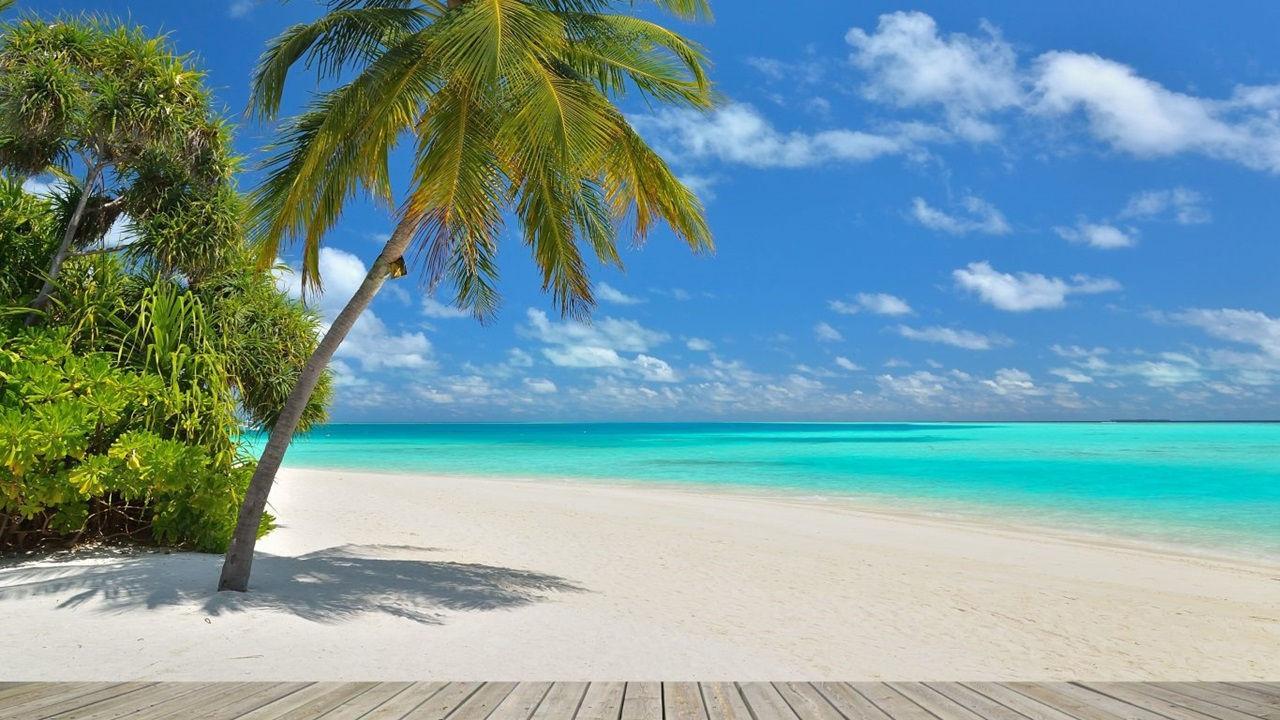Android 用の Waikiki Hawaii Wallpaper Apk をダウンロード