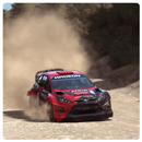 APK Dirt Rally Car Wallpaper