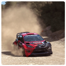 Dirt Rally Car Wallpaper APK