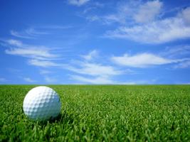 Golf Wallpaper captura de pantalla 2