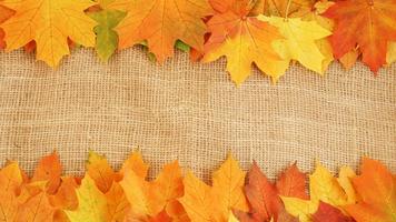 Autumn Wallpaper ภาพหน้าจอ 2