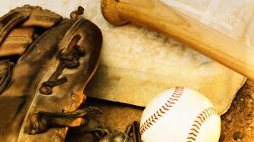 Baseball Wallpaper capture d'écran 1