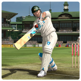 Cricket Wallpaper icône