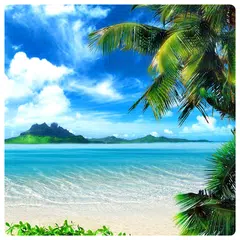 Hawaii Beach Wallpaper APK download